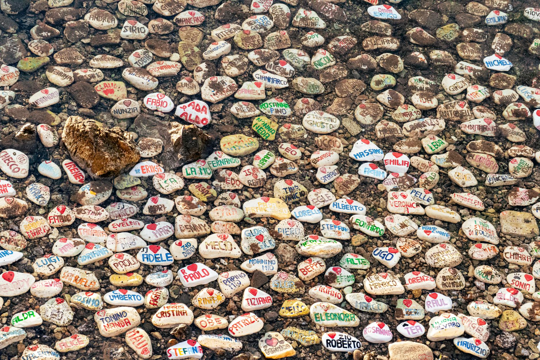 Pokolorowane kamienie z imionami zanurzone w wodzie